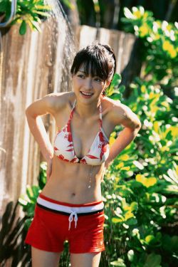 我当鸟人的那几年